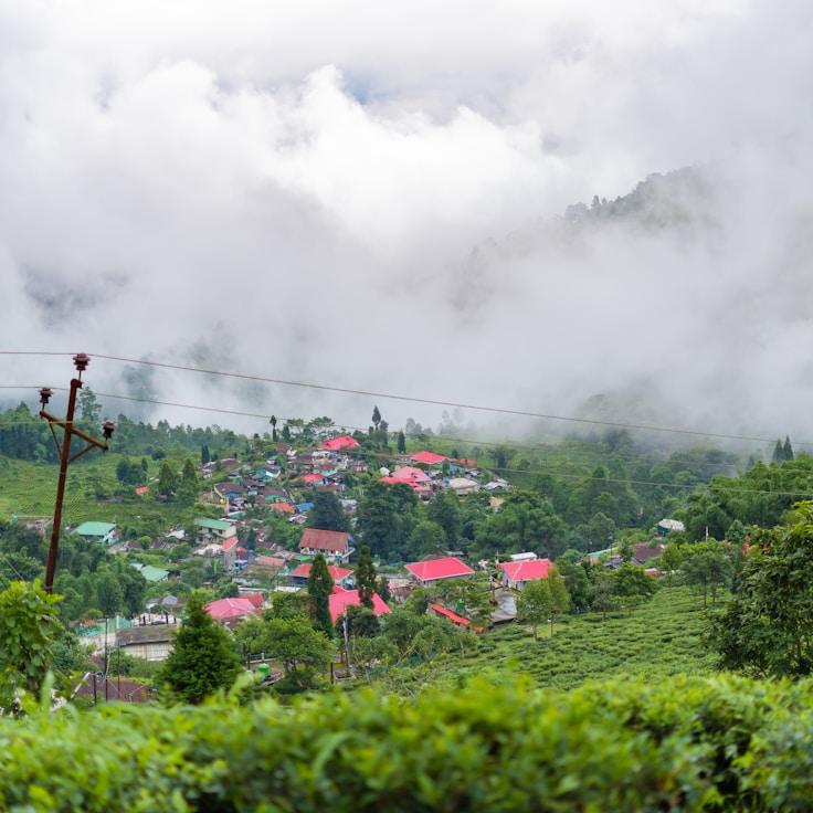Entertainment zone at night in Canada